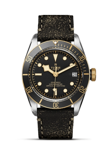 Tudor Black Bay 79733N-0001