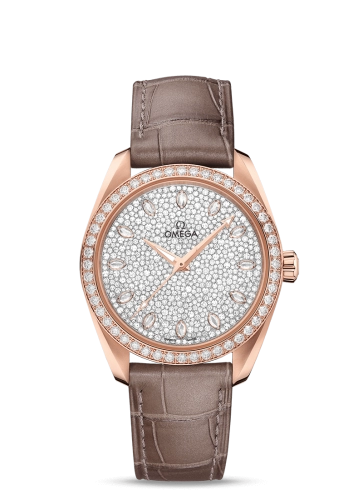 Omega Aqua Terra 220-58-38-20-99-003