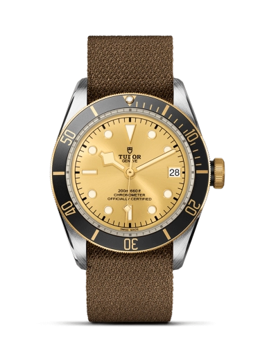 Tudor Black Bay 79733N-0006