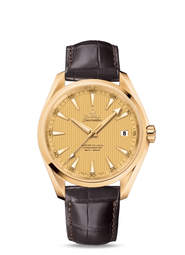 Omega Aqua Terra 231-53-42-21-08-001