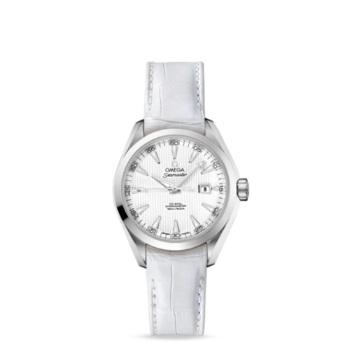 Omega Aqua Terra 231-13-34-20-04-001