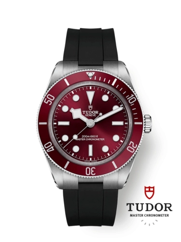 Tudor Black Bay 58 M7939A1A0RU-0003