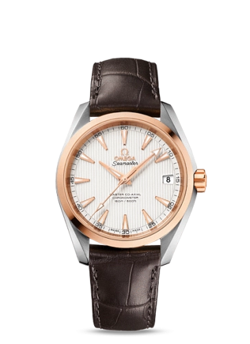 Omega Aqua Terra 231-23-39-21-02-001