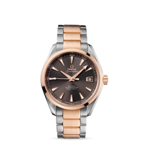 Omega Aqua Terra 231-20-42-21-06-001