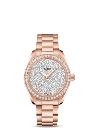 Omega Aqua Terra 220-55-34-20-99-003