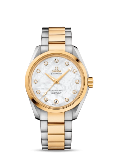 Omega Aqua Terra 231-20-39-21-55-004