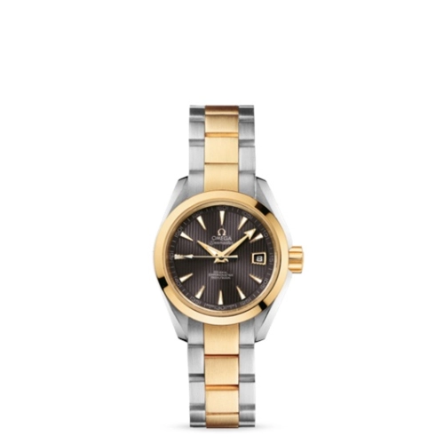 Omega Aqua Terra 231-20-30-20-06-002