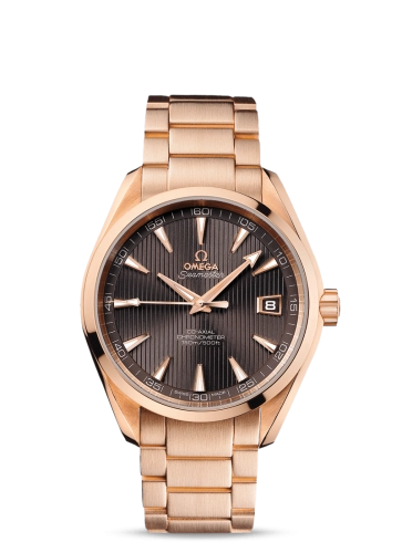 Omega Aqua Terra 231-50-42-21-06-001