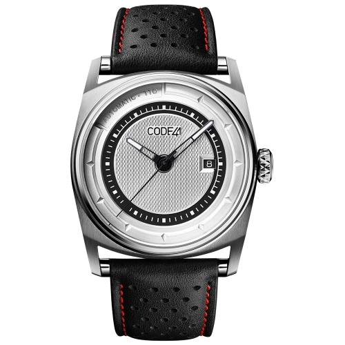 CODE41 Anomaly-02 AN02-IN-SIL-ST-LEA-PER-COU-SP