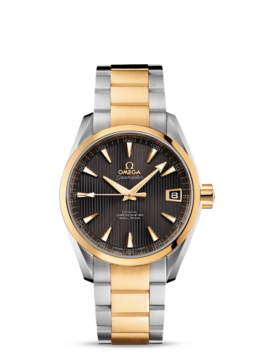 Omega Aqua Terra 231-20-39-21-06-002