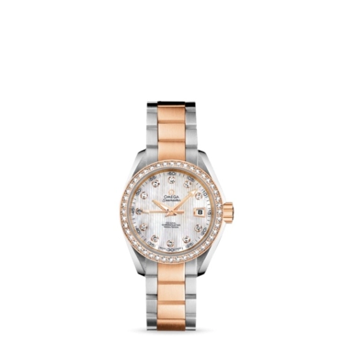 Omega Aqua Terra 231-25-30-20-55-001