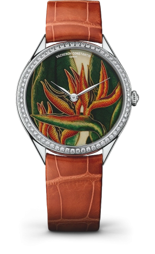 Vacheron Constantin Métiers d'Art 82550-000G-9854