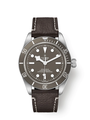 Tudor Black Bay 58 79010SG-0001