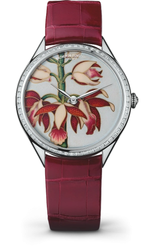 Vacheron Constantin Métiers d'Art 82650-000G-9855