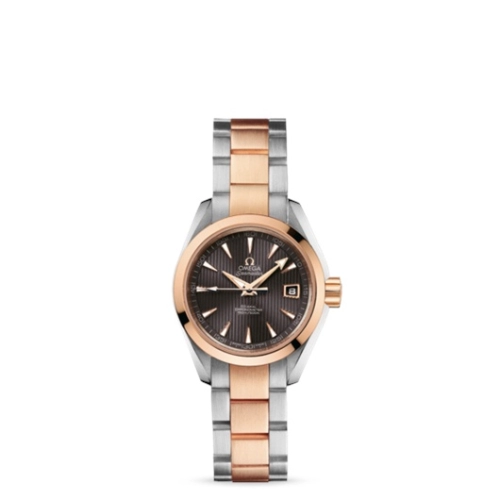 Omega Aqua Terra 231-20-30-20-06-001