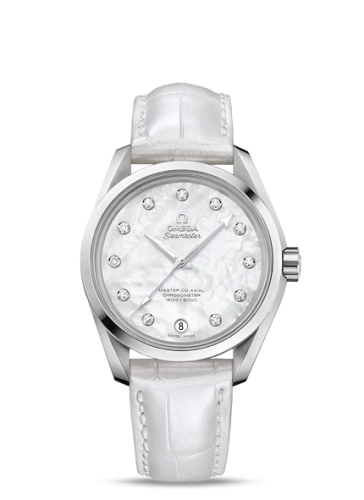 Omega Aqua Terra 231-13-39-21-55-002