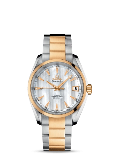 Omega Aqua Terra 231-20-39-21-55-002