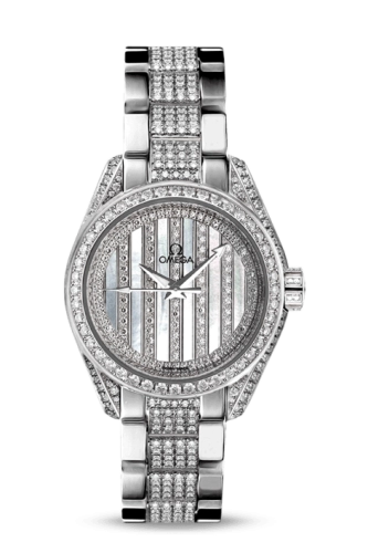 Omega Aqua Terra 231-55-30-20-55-003