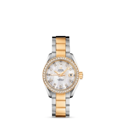 Omega Aqua Terra 231-25-30-20-55-002