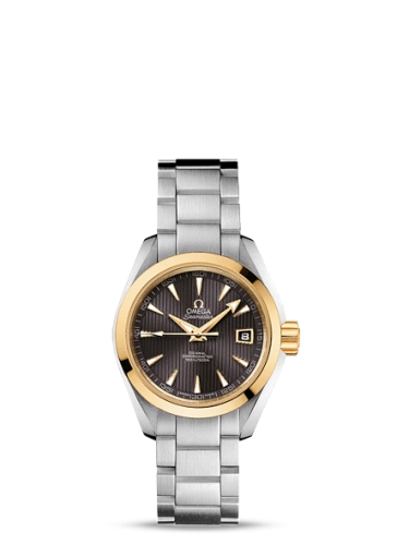 Omega Aqua Terra 231-20-30-20-06-004