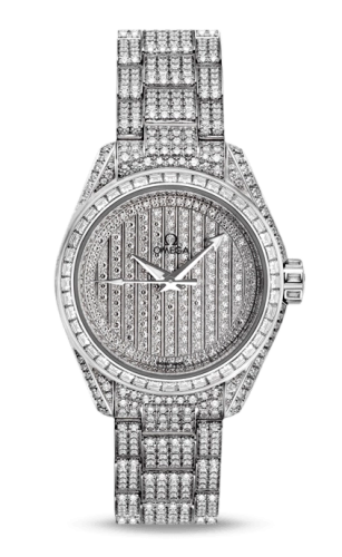 Omega Aqua Terra 231-55-30-20-99-002