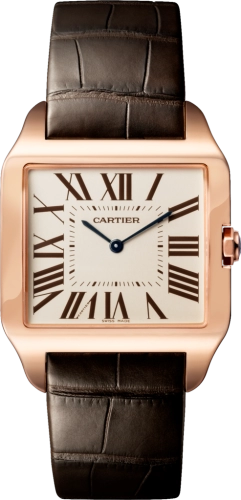 Cartier Santos de Cartier W2006951