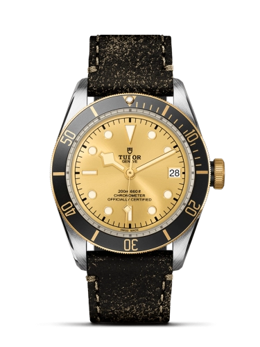 Tudor Black Bay 79733N-0003