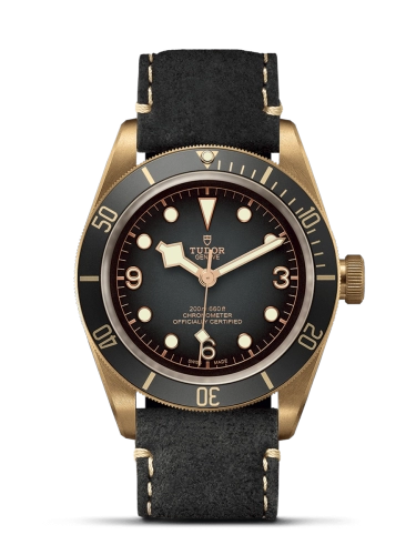 Tudor Black Bay 79250BA-0001