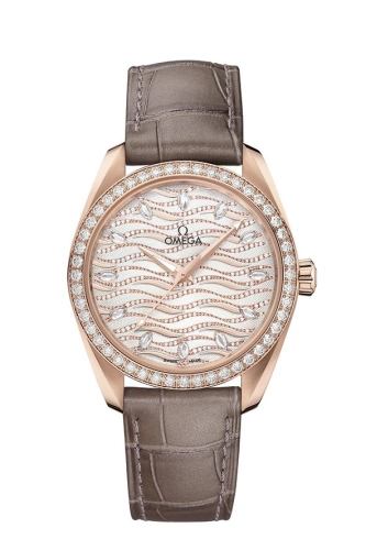 Omega Aqua Terra 220-58-38-20-99-006