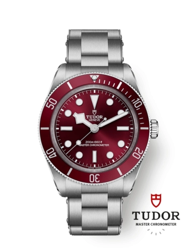 Tudor Black Bay 58 M7939A1A0RU-0002
