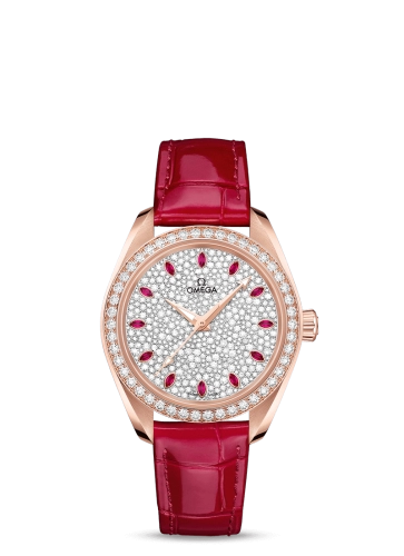 Omega Aqua Terra 220-58-34-20-99-001