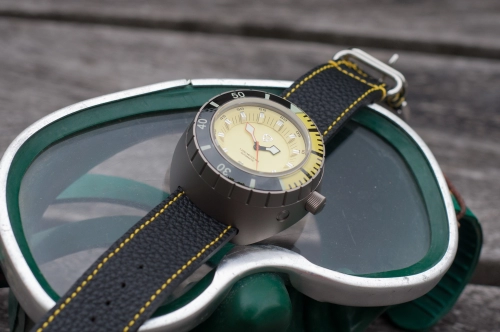 Stuckx The RocK YELL