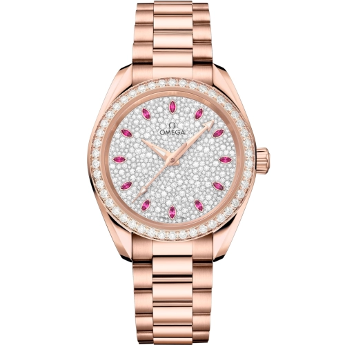 Omega Aqua Terra 220-55-34-20-99-007