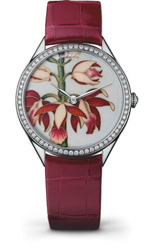 Vacheron Constantin Métiers d'Art 82550-000G-9855