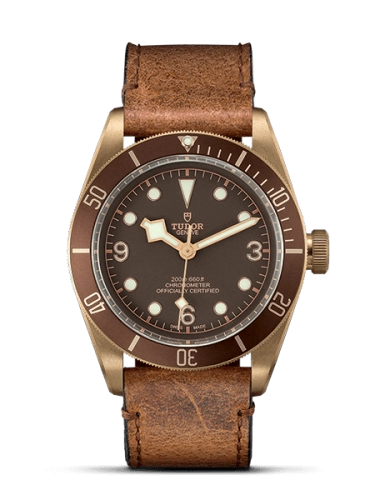 Tudor Black Bay 79250BM-0001