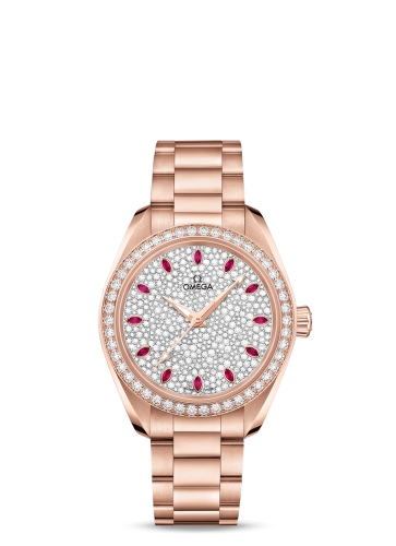 Omega Aqua Terra 220-55-34-20-99-001
