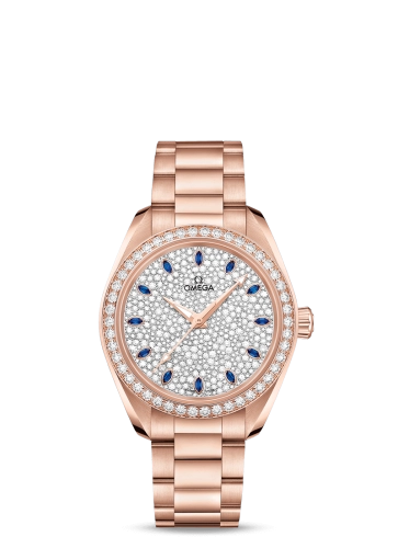 Omega Aqua Terra 220-55-34-20-99-002