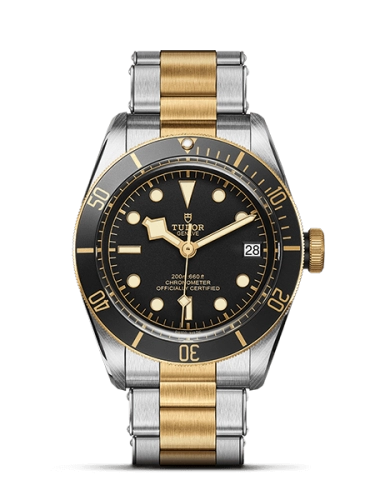 Tudor Black Bay 79733N-0002