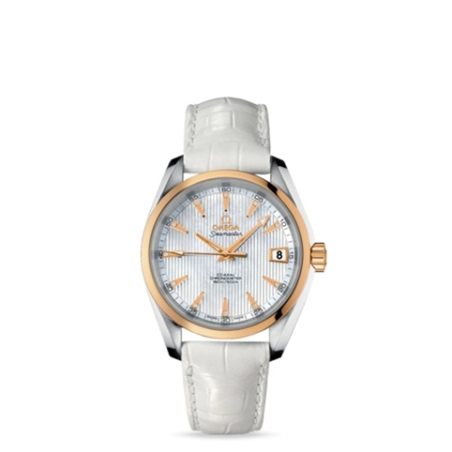 Omega Aqua Terra 231-23-39-21-55-002