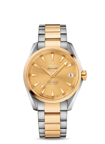 Omega Aqua Terra 231-20-39-21-08-001