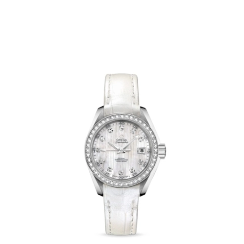 Omega Aqua Terra 231-18-30-20-55-001