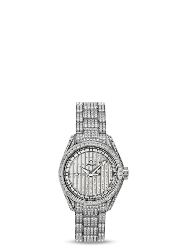 Omega Aqua Terra 231-55-30-20-99-003