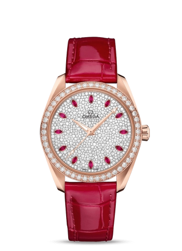 Omega Aqua Terra 220-58-38-20-99-001