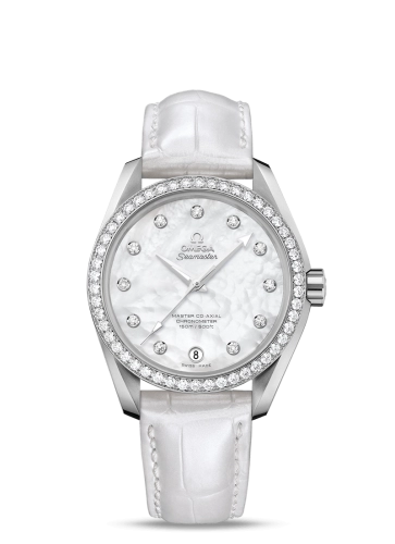 Omega Aqua Terra 231-18-39-21-55-001
